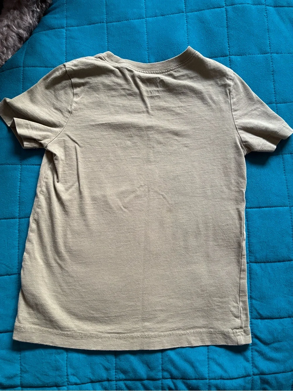 OshKosh B'gosh Olive Short Sleeve Tee with Bright Blue Dino Prints